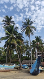 Playa de Arugambay