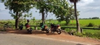 Sri Lanka desde el asiento de atras de un tuktuk