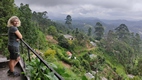 Vistas desde Mint of the Mist