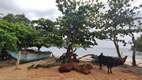 Hiriketiya Beach