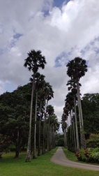 Perennizara Botanic Gardens