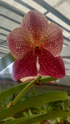 Perennizara Botanic Gardens