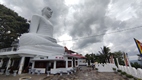Sri Maha Bodhi Viharaya