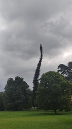 Perennizara Botanic Gardens