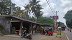 Sri Lanka desde el asiento de atras de un tuktuk