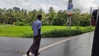 Sri Lanka desde el asiento de atras de un tuktuk