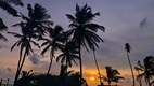 Playa de Negombo
