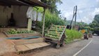 Sri Lanka desde el asiento de atras de un tuktuk