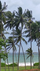 Playa de Rekawa