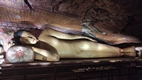 Templo de Oro de Dambulla