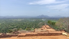 Lion's rock
