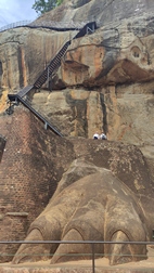 Lion's rock