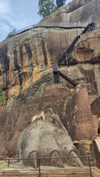 Lion's rock