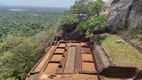 Lion's rock