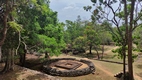 Lion's rock
