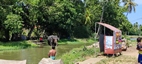 Sri Lanka desde el asiento de atras de un tuktuk