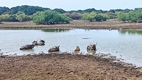 Yala National Park