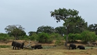 Yala National Park