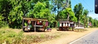 Sri Lanka desde el asiento de atras de un tuktuk