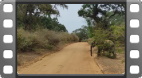 Yala National Park