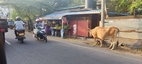 Sri Lanka desde el asiento de atras de un tuktuk