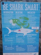 Aviso de presencia de tiburones, Kommetjie beach