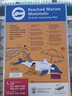 Instrucciones para ayudar a cetaceos varados en la arena, Kommetjie beach