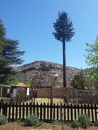 Plaza central de Clarens