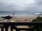 Playa de Buffalo Bay desde el restaurante Buffelsbay