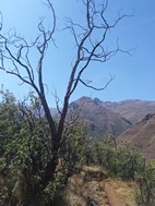 Ts'ehlanyane National Park