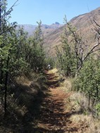 Ts'ehlanyane National Park