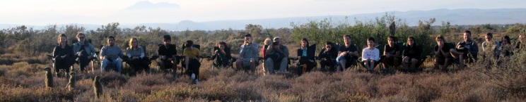 Excursión para ver suricatos, Meerkat Adventures Excursión para ver suricatos, Meerkat Adventures