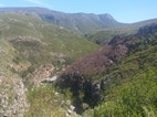 Ruta 62 entre Barrydale y Calitzdorp