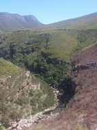 Ruta 62 entre Barrydale y Calitzdorp