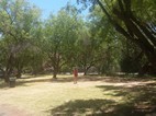 Kleinplaas Camping Resort, una vez mas el tamaño de nuestra plaza nos desborda