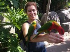 Seccin de pjaros tropicales, Cango Wildlife Ranch