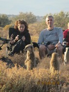 Excursión para ver suricatos, Meerkat Adventures