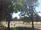 Berg River Resort