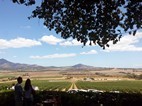 The spice route winery