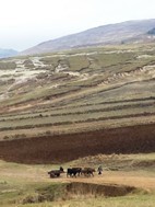 Excursión a Lesotho