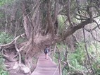 Vistas durante el sendero Mouth Trail