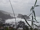 Vistas durante el sendero Waterfall Trail