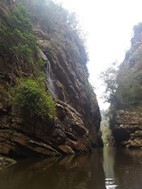 Paseo en kayak cerca de Wildernes