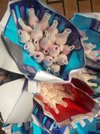 Mercado de Pakh Khlong Talat