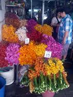 Mercado de Pakh Khlong Talat