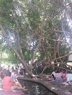 San Kamphaeng Hot Springs