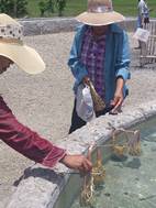 San Kamphaeng Hot Springs