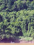 Vistas desde la barcaza en el trayecto entre Huay Xai y Luang Prabang