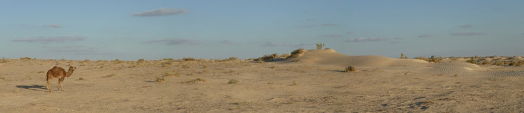 Desierto del Sahara junto al campamento