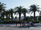Calesa frente a la Place du 7 Novembre, Monastir
